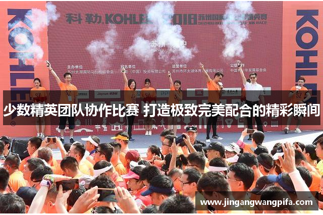 少数精英团队协作比赛 打造极致完美配合的精彩瞬间