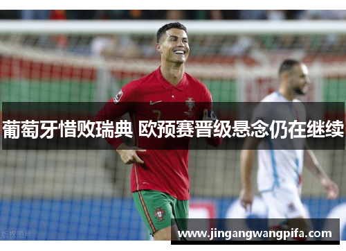 葡萄牙惜败瑞典 欧预赛晋级悬念仍在继续